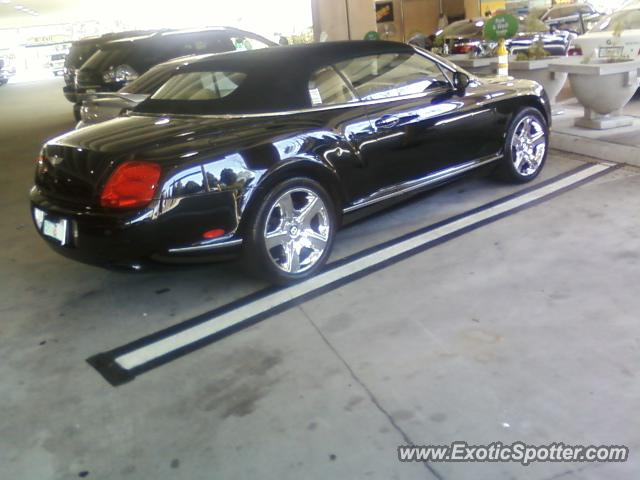 Bentley Continental spotted in Tampa, Florida