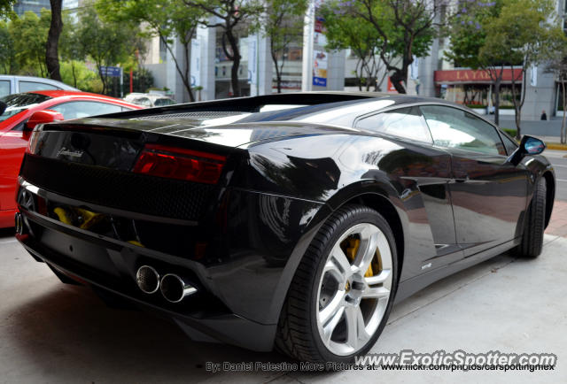 Lamborghini Gallardo spotted in Mexico City, Mexico