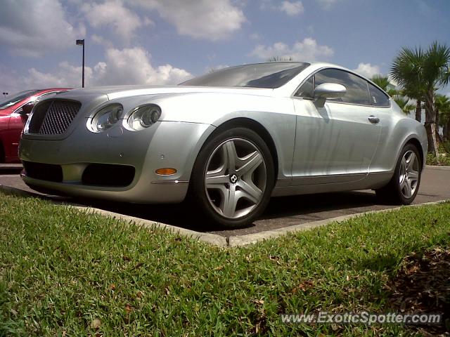 Bentley Continental spotted in Tampa, Florida