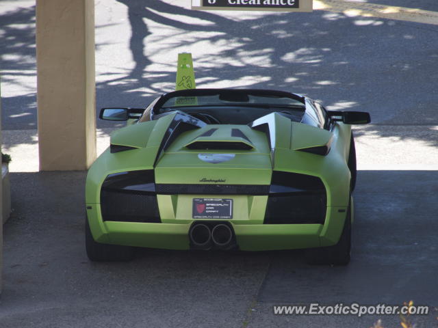 Lamborghini Murcielago spotted in Monterey, California