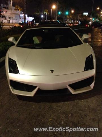 Lamborghini Gallardo spotted in Miami, Florida