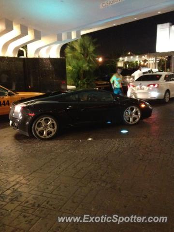 Lamborghini Gallardo spotted in Miami, Florida