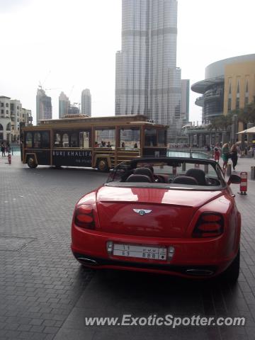 Bentley Continental spotted in Dubai, United Arab Emirates