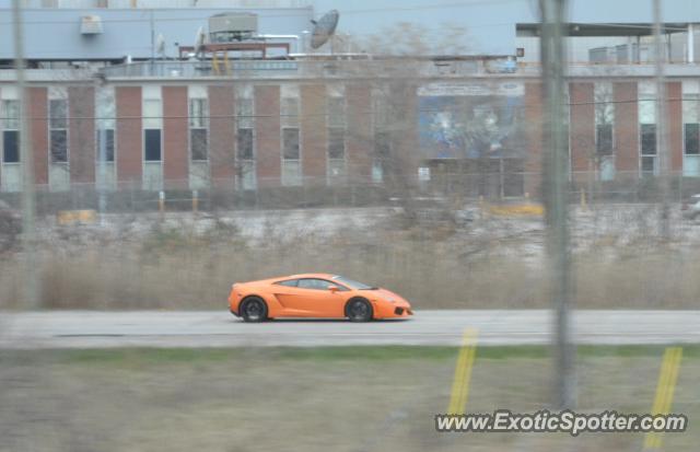 Lamborghini Gallardo spotted in Oakville, Canada