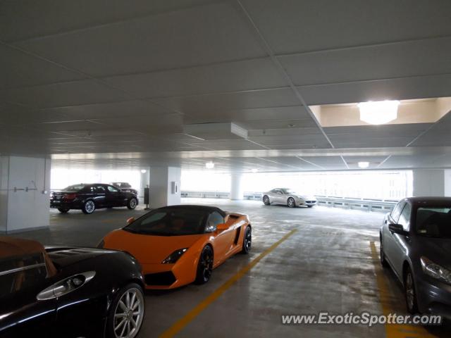 Lamborghini Gallardo spotted in Chicago , Illinois