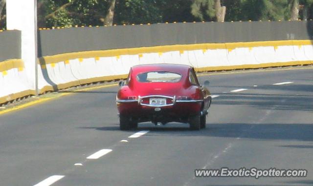 Jaguar E-Type spotted in Cuernavaca, Mexico
