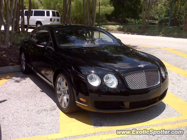 Bentley Continental spotted in Orlando, Florida