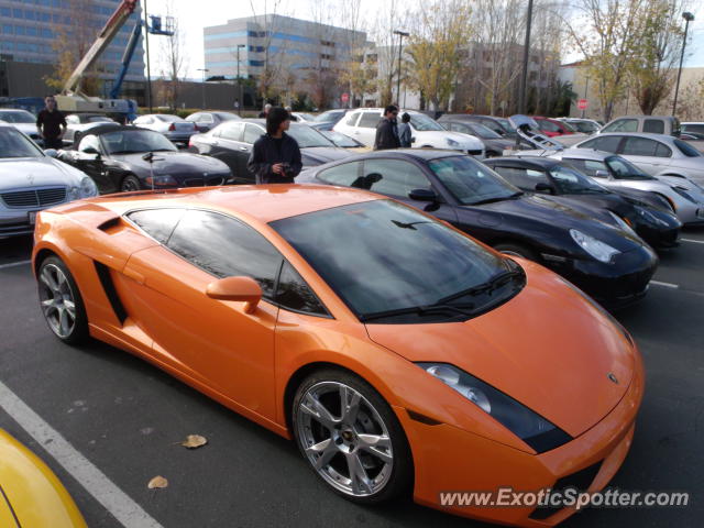 Lamborghini Gallardo spotted in San Jose, California