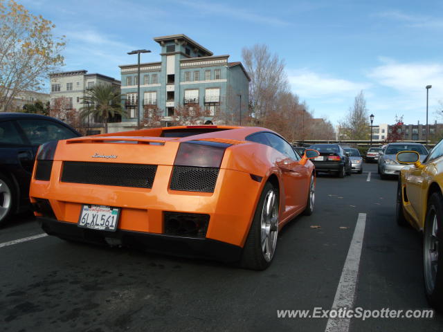 Lamborghini Gallardo spotted in San Jose, California