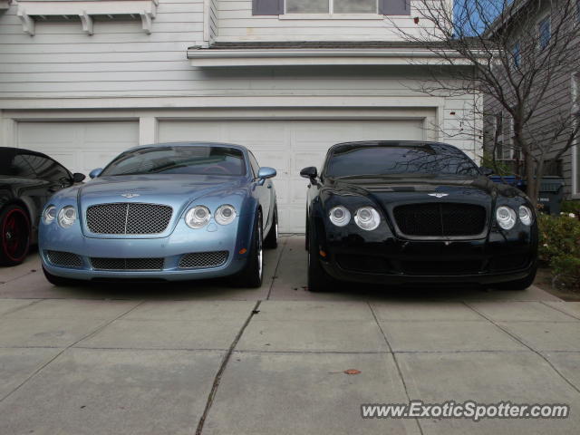 Bentley Continental spotted in Alameda, California