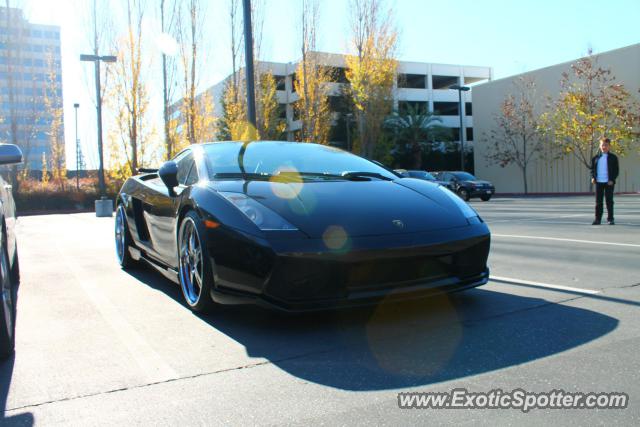 Lamborghini Gallardo spotted in San Jose, California