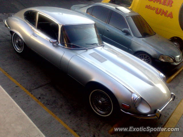 Jaguar E-Type spotted in Guadalajara, Mexico