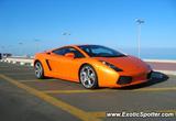 Lamborghini Gallardo