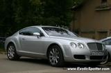 Bentley Continental