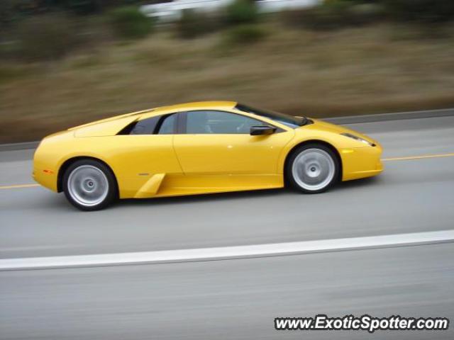 Lamborghini Murcielago spotted in Federal Way, Washington