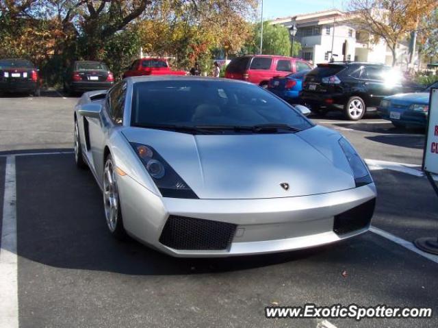 Lamborghini Gallardo spotted in Calabasas, California