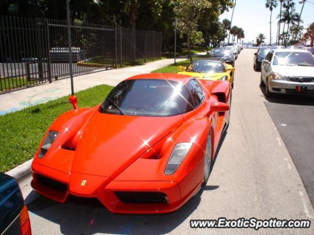 Ferrari Enzo spotted in Miami, Florida