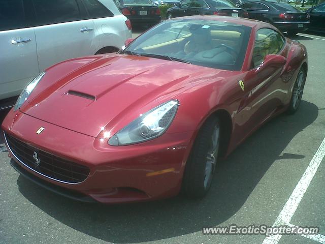 Ferrari California spotted in Tampa, Florida