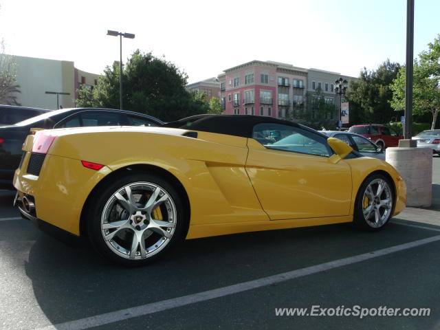 Lamborghini Gallardo spotted in San Jose, California