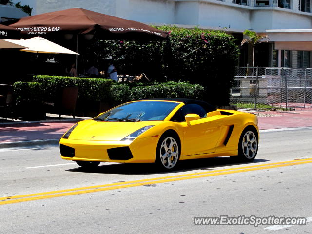 Lamborghini Gallardo spotted in Miami, Florida