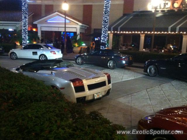 Lamborghini Gallardo spotted in Ft. Lauderdale, Florida