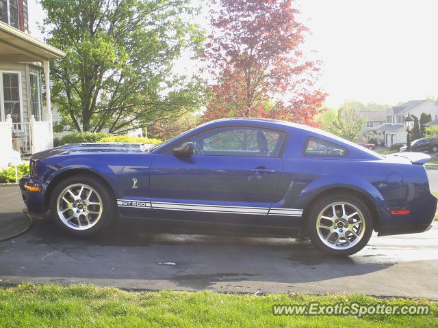 Shelby Cobra spotted in Harrisburg, Pennsylvania