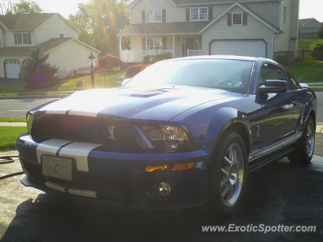 Shelby Cobra spotted in Harrisburg, Pennsylvania