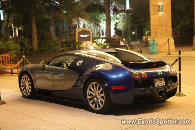 Bugatti Veyron spotted in Dubai, United Arab Emirates