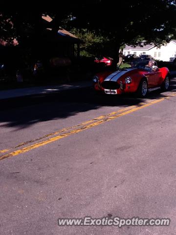 Shelby Cobra spotted in Sodus Point, New York