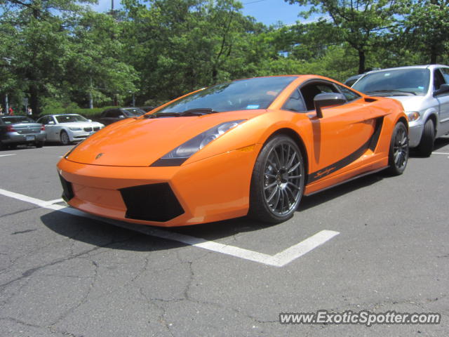 Lamborghini Gallardo spotted in Greenwich, Connecticut