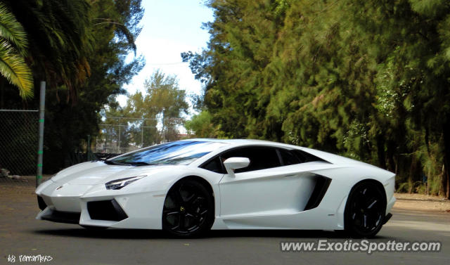 Lamborghini Aventador spotted in Distrito Federal, Mexico