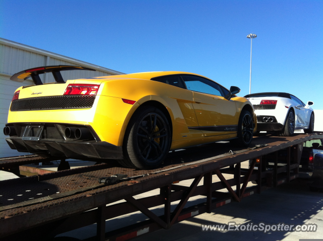 Lamborghini Gallardo spotted in Houston, Texas