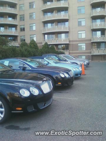 Bentley Continental spotted in Bethesda, Maryland