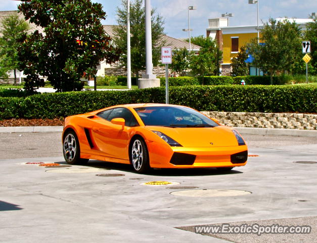 Lamborghini Gallardo spotted in Winter Garden, Florida