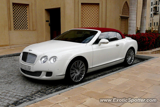 Bentley Continental spotted in Abu dhabi, United Arab Emirates