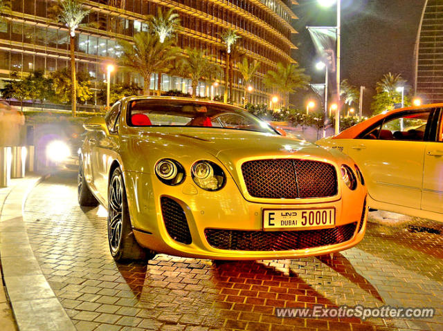 Bentley Continental spotted in Abu dhabi, United Arab Emirates