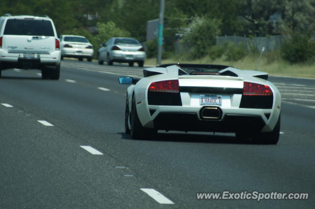 Lamborghini Murcielago spotted in Chicago, Illinois