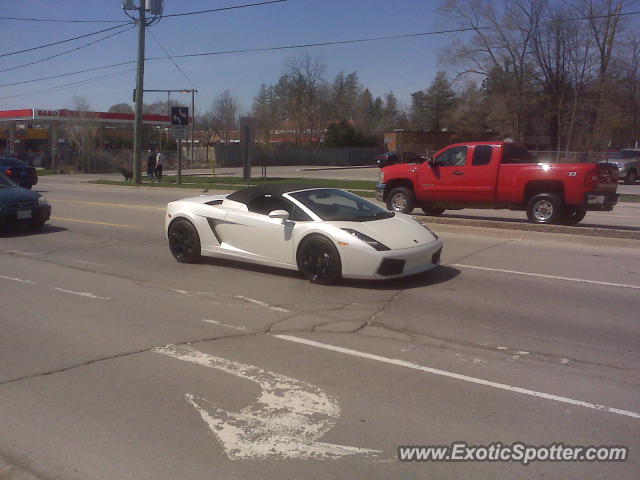 Lamborghini Gallardo spotted in Ancaster, Canada