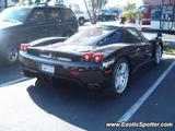 Ferrari Enzo