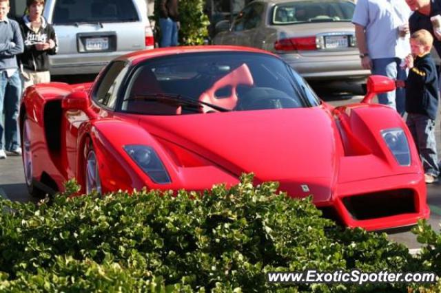 Ferrari Enzo spotted in Newport Beach, California