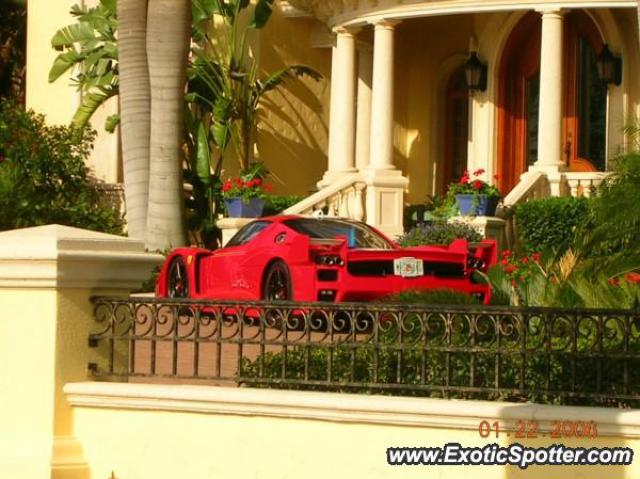 Ferrari Enzo spotted in Tampa, Florida