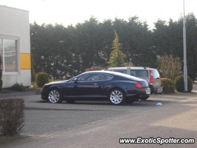 Bentley Continental spotted in Someren, Netherlands