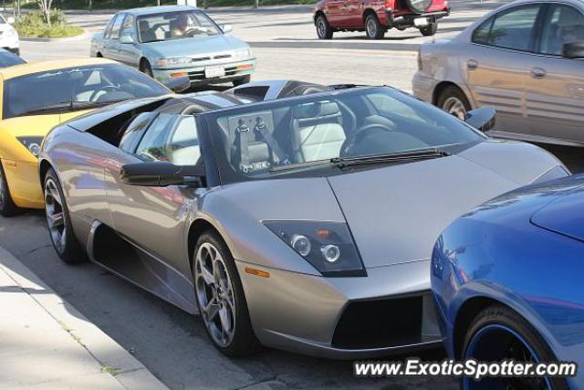 Lamborghini Murcielago spotted in Calabasas, California