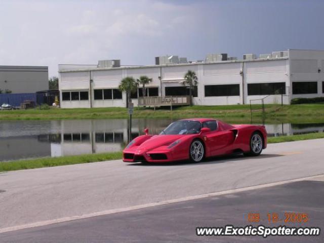 Ferrari Enzo spotted in Orlando, Florida