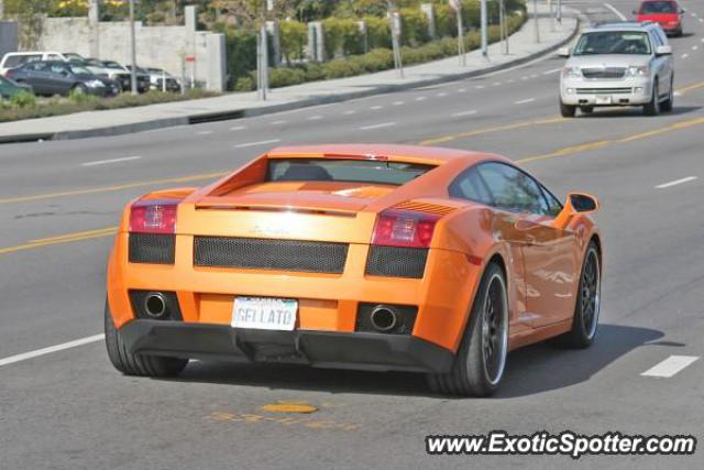 Lamborghini Gallardo spotted in Calabasas, California