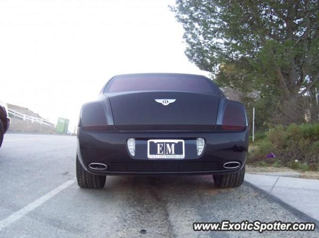 Bentley Continental spotted in Bell Canyon, California