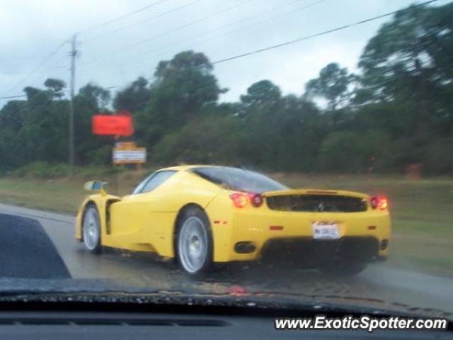 Ferrari Enzo spotted in Sarasota, Florida