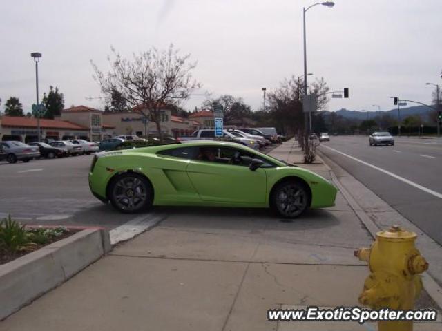 Lamborghini Gallardo spotted in Calabasas, California