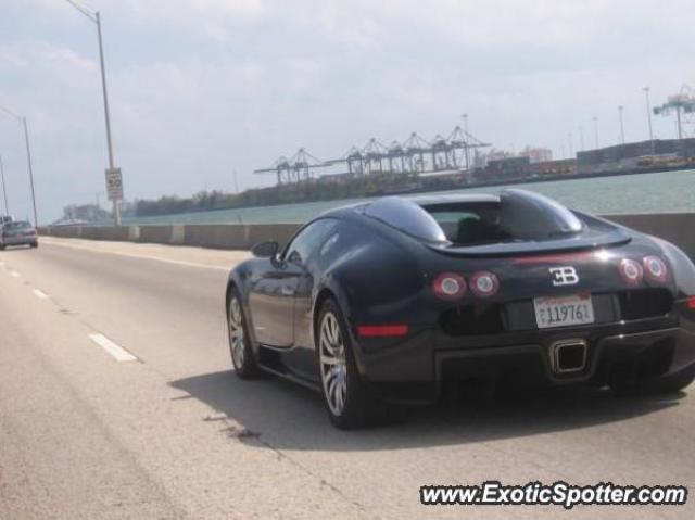 Bugatti Veyron spotted in Miami, Florida