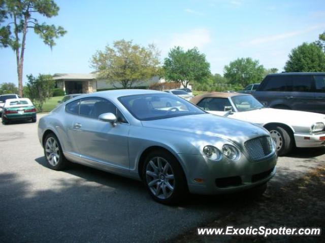 Bentley Continental spotted in Sarasota, Florida